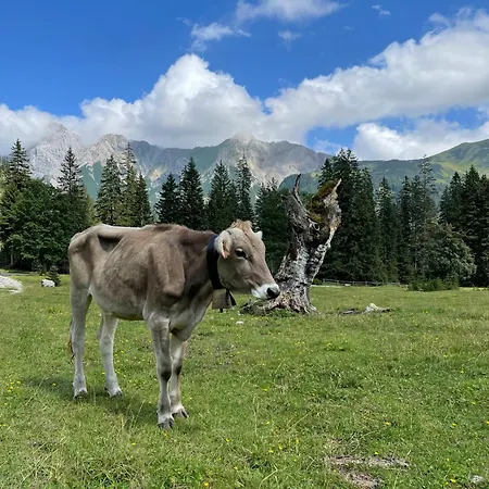 Alpenkind 米滕瓦尔德