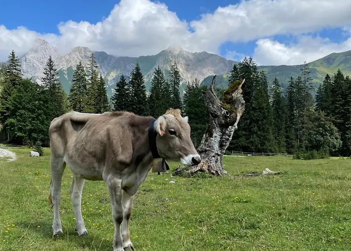 Alpenkind מוטנוואלד